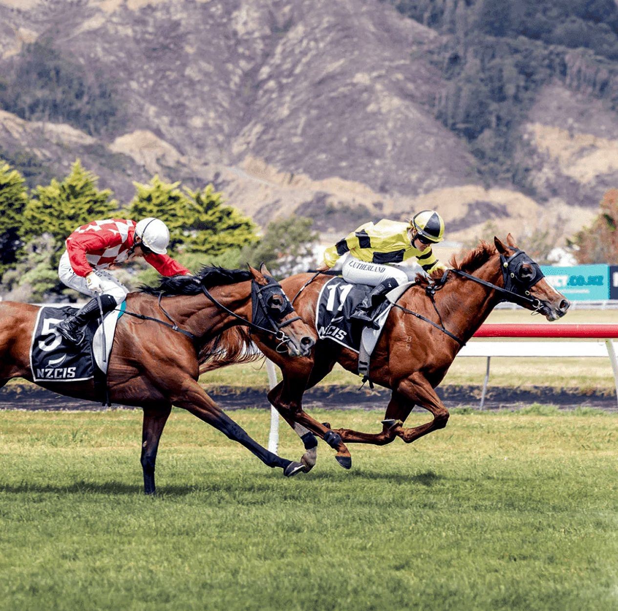 two horses racing