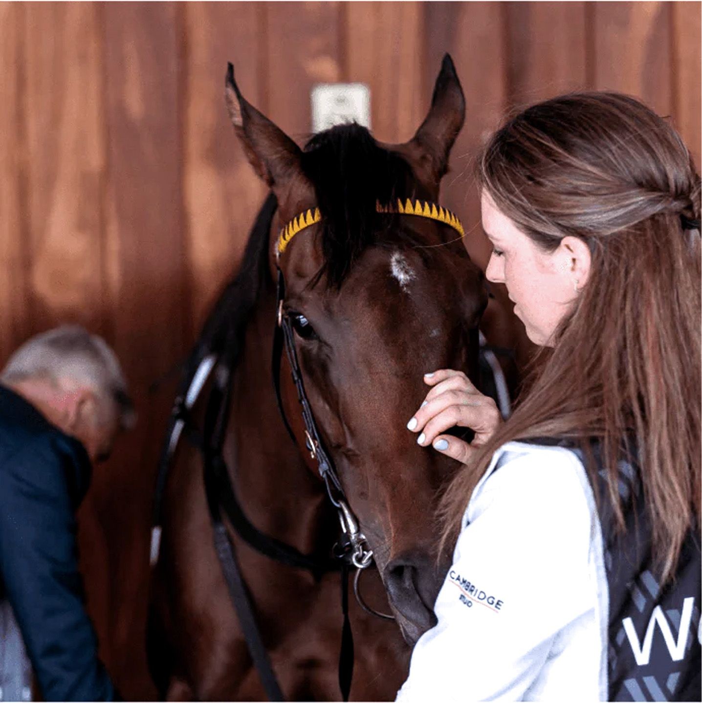 woman with brown horse