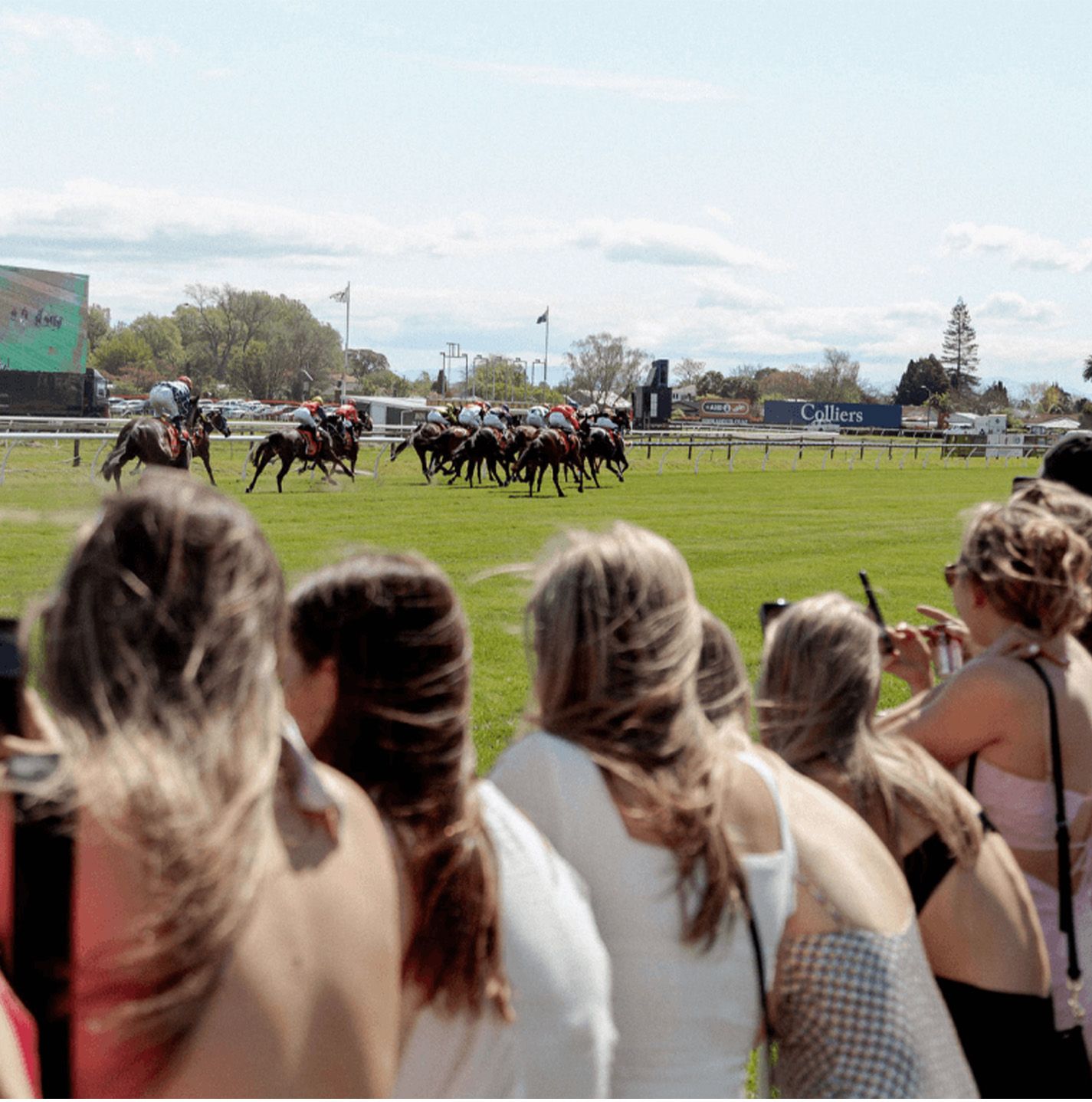audience watching horse race